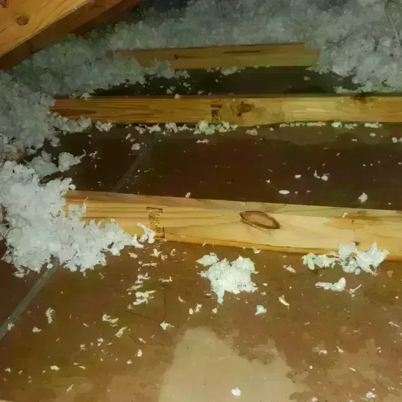 Attic Water Damage in Watsonville, CA